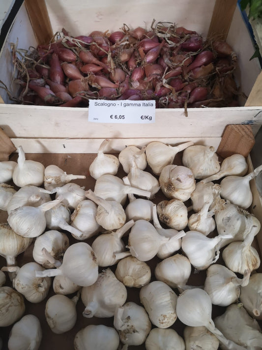 Aglio Rosso - I gamma Italia