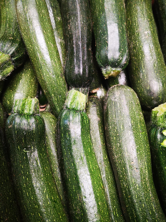 Zucchine - I gamma Italia