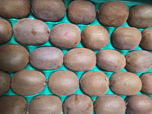 Kiwi - I gamma Italia