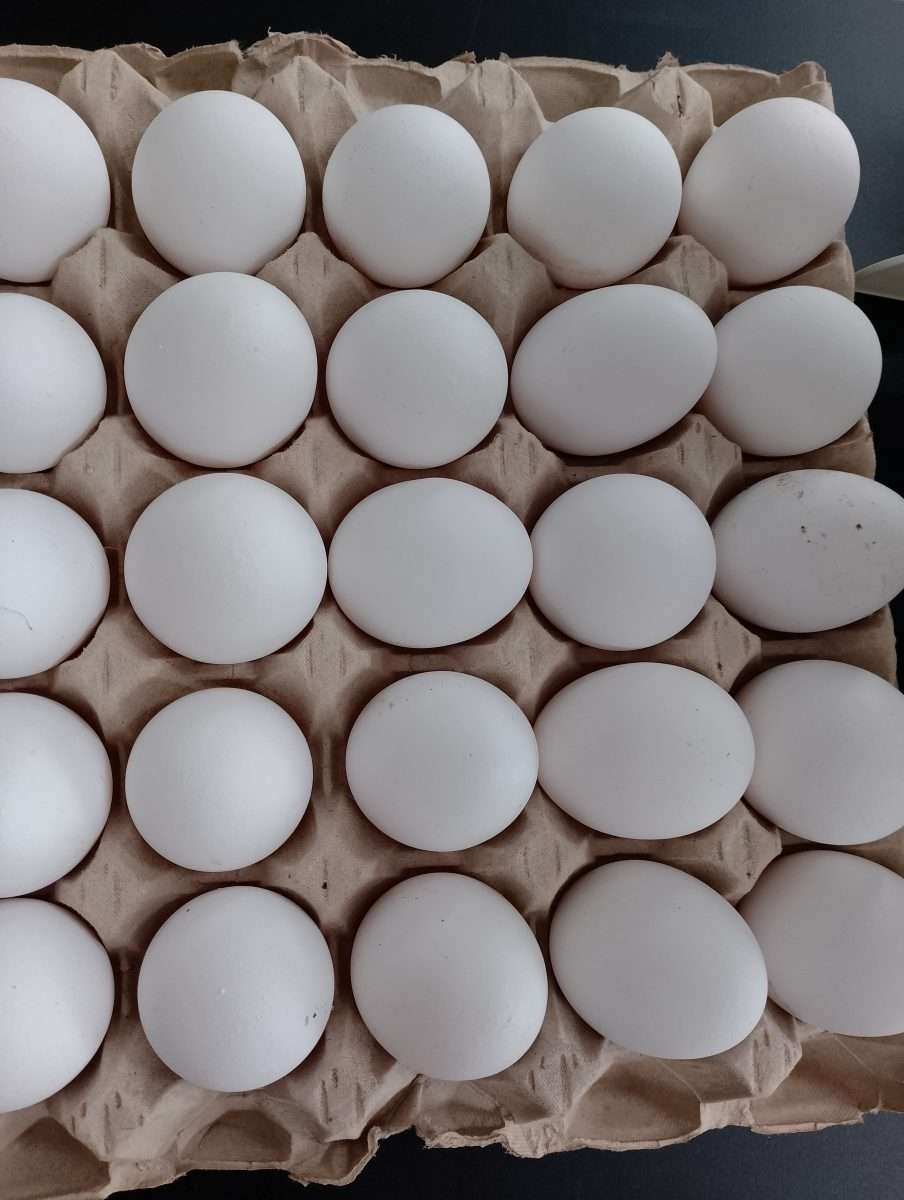 Uova fresche Bio - Italia