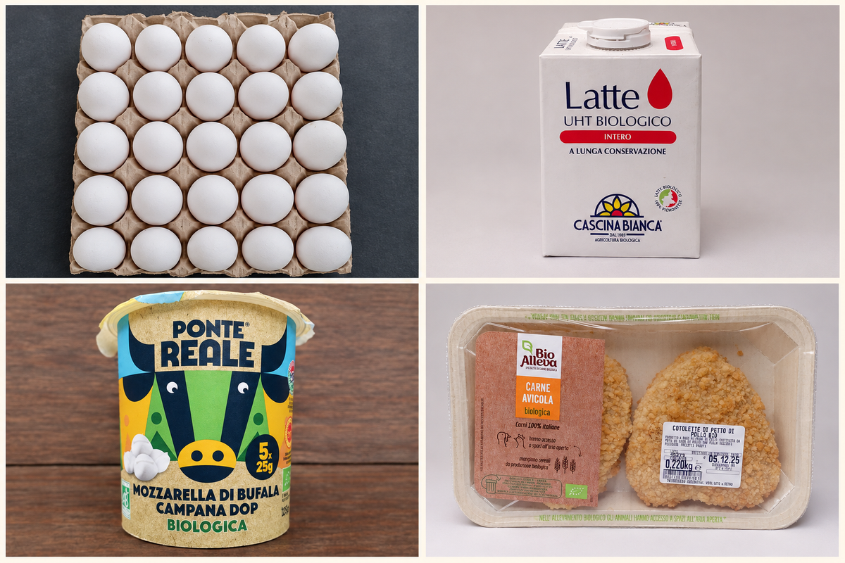 Collage di uova fresche, latte UHT, mozzarella e cotoletta di pollo
