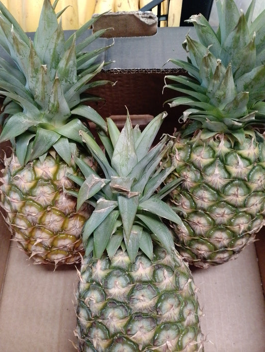 Ananas - Togo