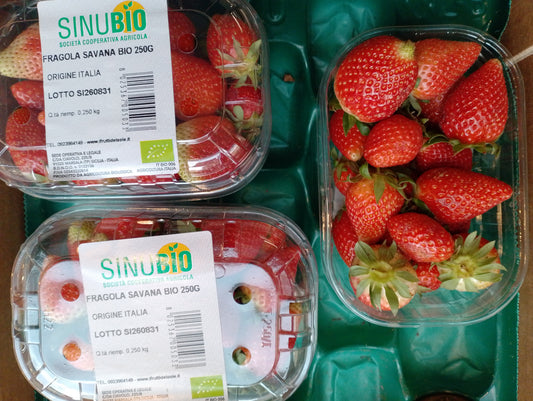 Fragole bio 250 gr - I gamma Italia
