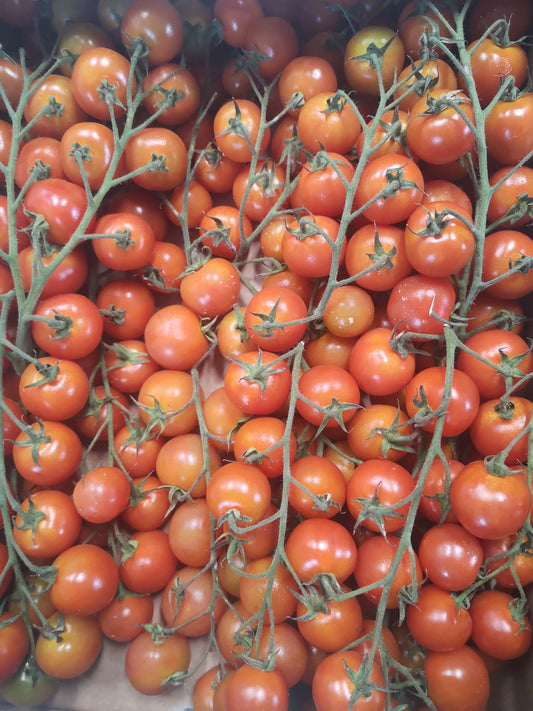 Pomodoro ciliegino - I gamma Italia