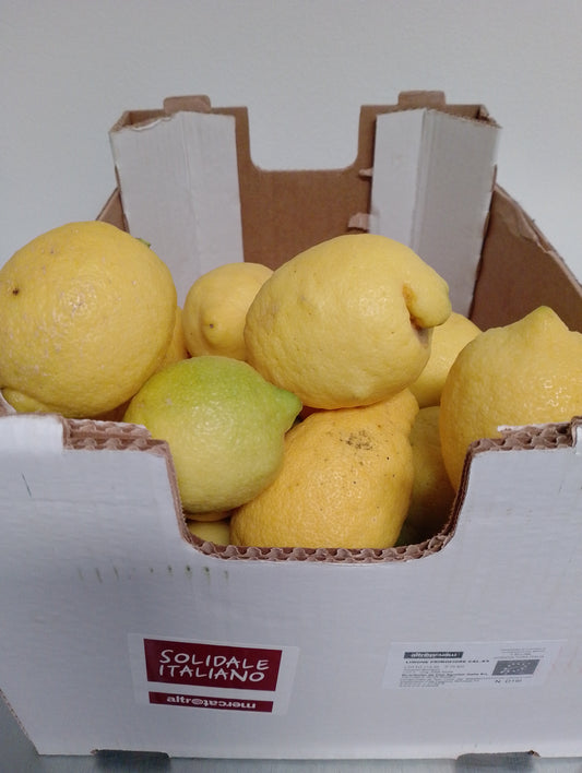Limoni - I gamma Italia