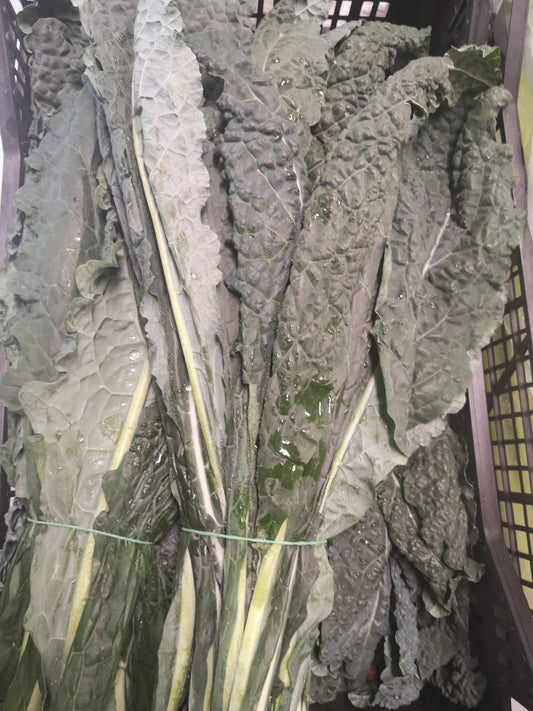 Cavolo nero - I gamma Italia