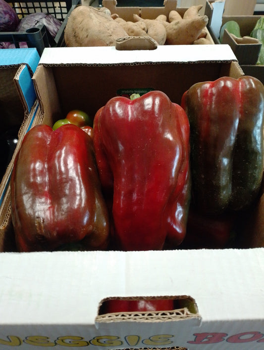 Peperoni - I gamma Italia