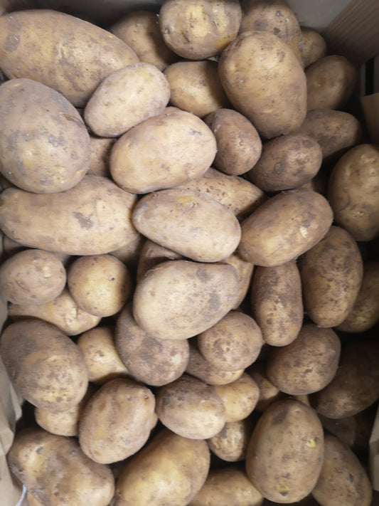 Patate gialle - I gamma Italia