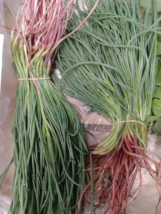 Agretti a mazzo - I gamma Italia